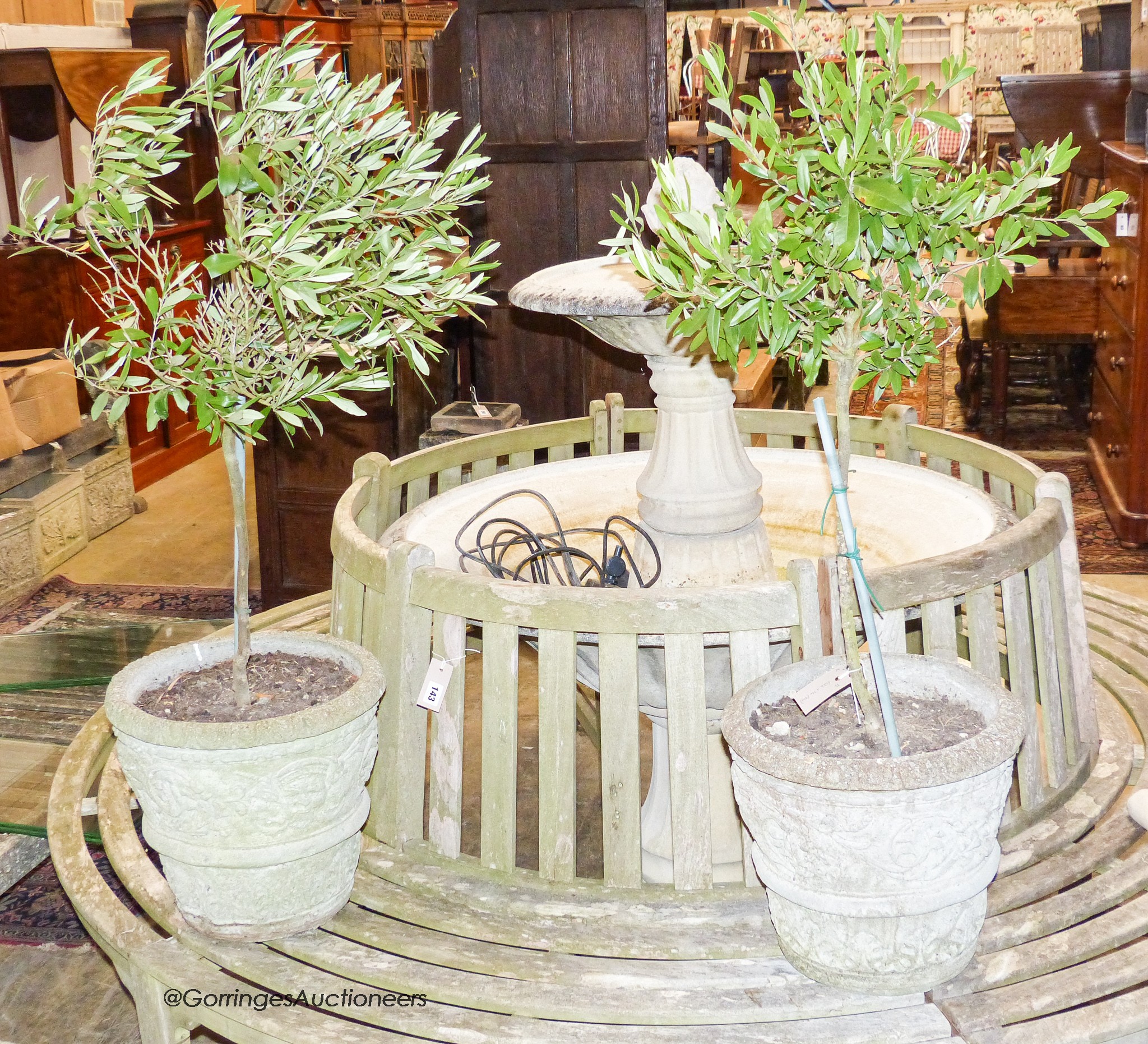 A pair of reconstituted stone tapered cylindrical planters, moulded with arabesques and containing small olive trees, diameter 36cm, height 34cm